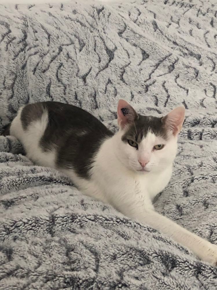 306325626_1075639576470281_4355446047222524132_n