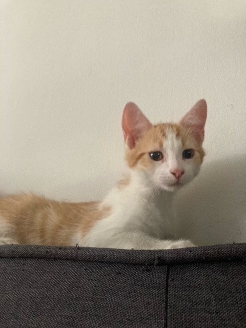 306327657_812108339967502_4690165638660162298_n