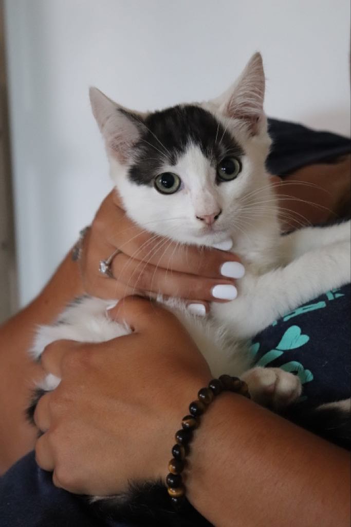 306509838_1154326605181495_5850425779713280950_n