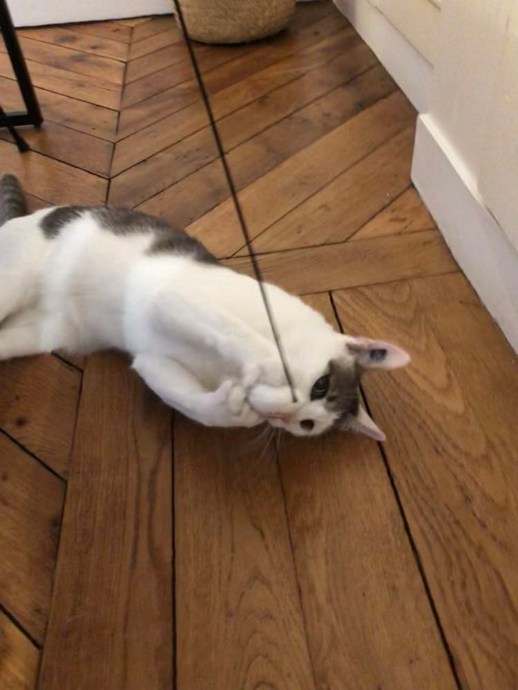 306517402_1414722065604205_520294209012213638_n