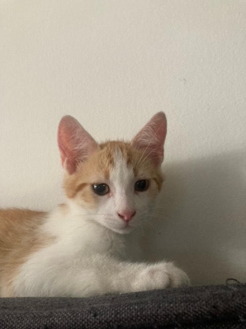 306549695_428037086061587_8249242759579789100_n