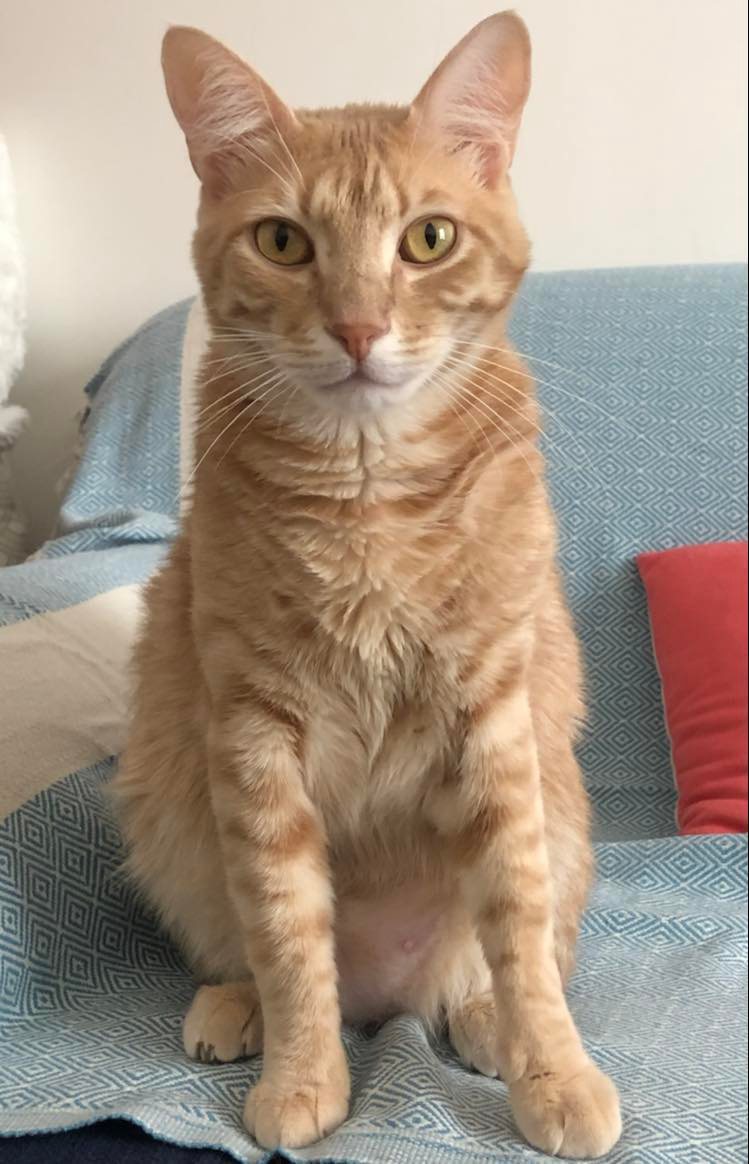 306783382_624847309088155_2699693925210818220_n