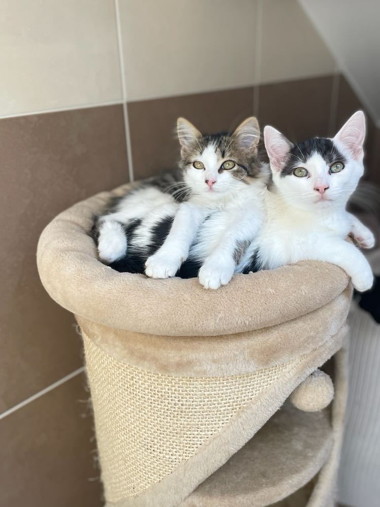 306865116_644552963950362_6783695769703711845_n