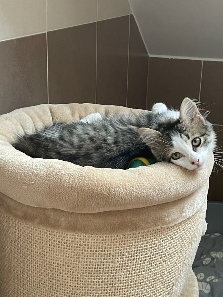 307008408_5686545158036767_6651315597057532640_n