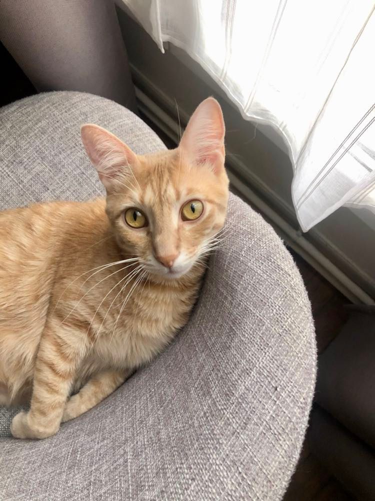 307048620_842971490205338_7864857242768545503_n