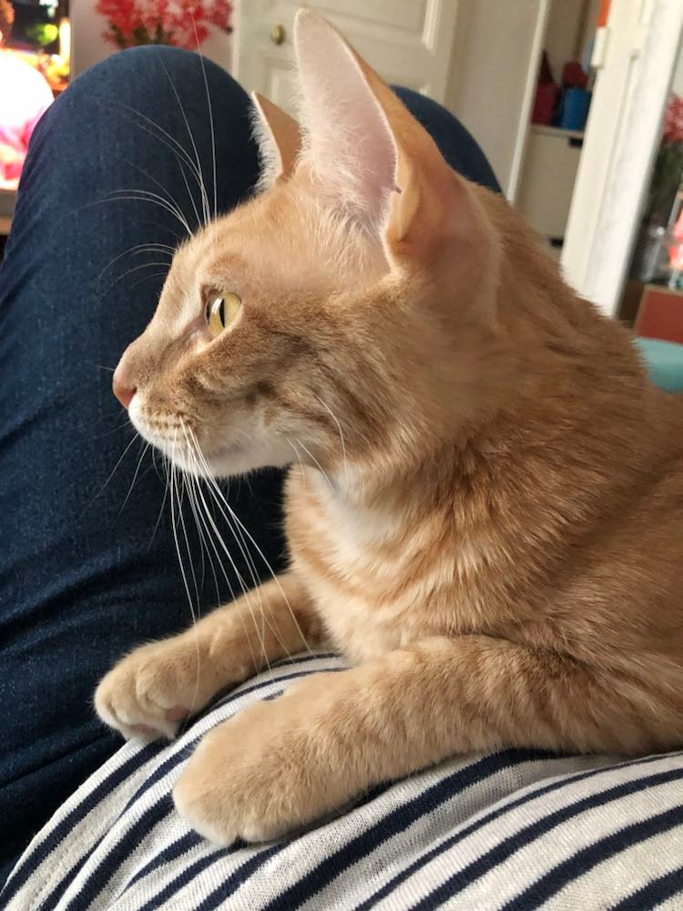 307417808_1226146977952591_6514432734714841939_n