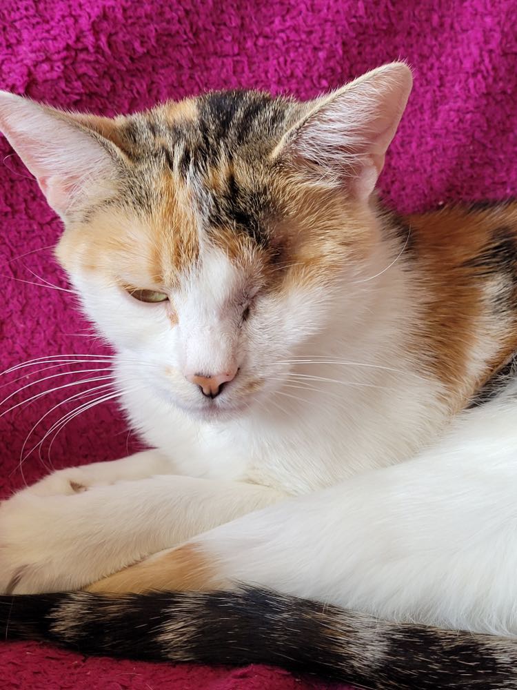 307446881_1546435075813026_781763609162191108_n-1