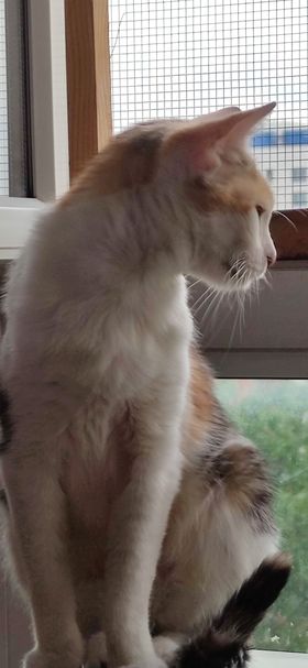 307588494_783272242723336_2882628817382979916_n-1