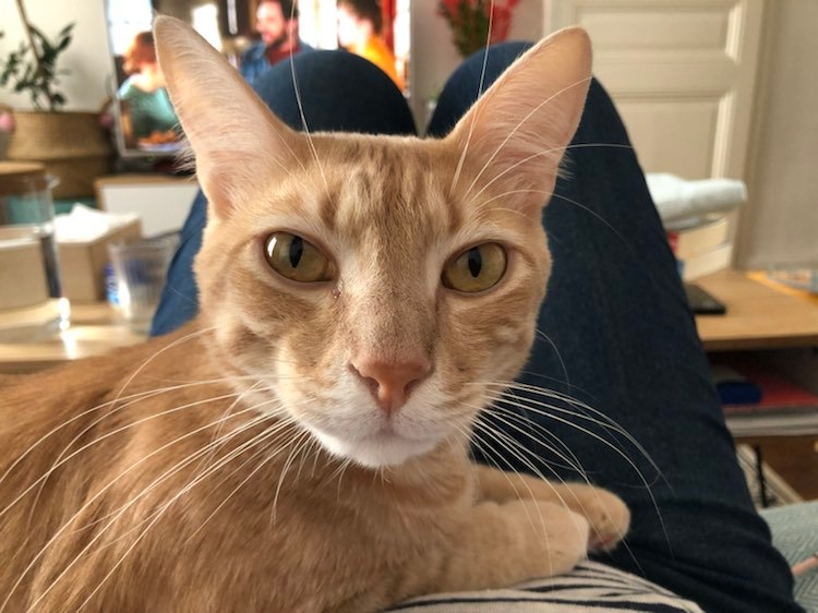 307620866_1456933941452069_3357981153736229352_n