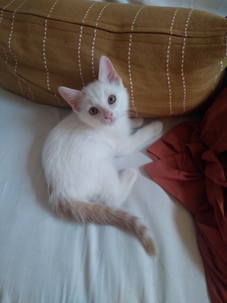 307629240_457164826475917_5355906919504037278_n