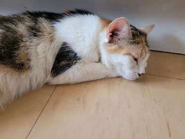 307780545_1894746100734270_4782725031167539507_n-2