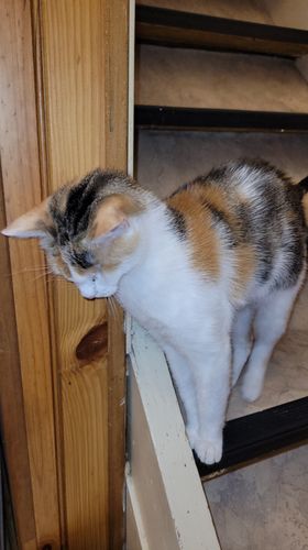 308256988_626345189078072_3067829330429367296_n-1-1