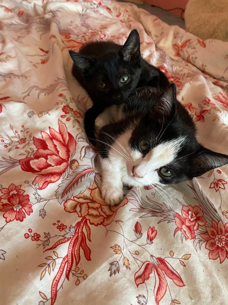 308789433_908492180115968_5999235136995030693_n