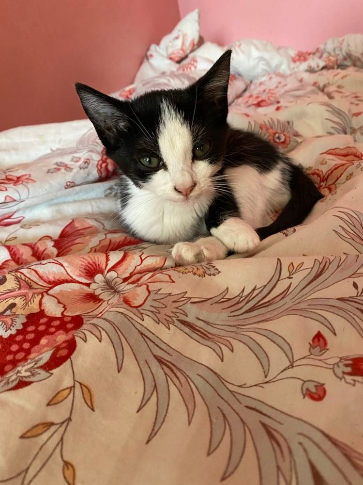 309314889_522307343076677_8984002491189923655_n