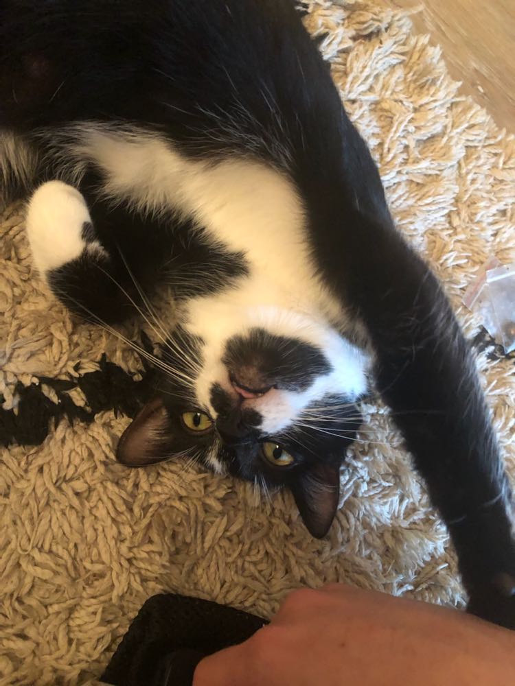 309325514_467406838671046_4715827406150507334_n