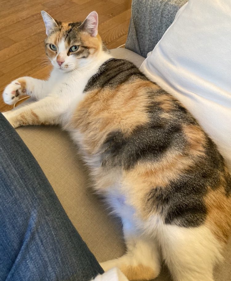 309708229_614509567037085_2399369000553955353_n