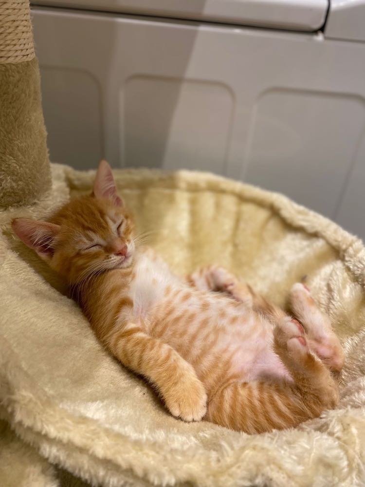 309903644_1245337522978814_5611870743209332418_n