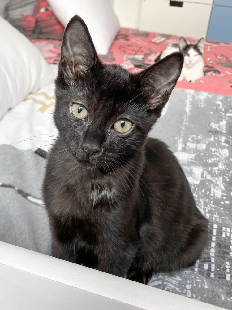 310059282_809660536948328_348009341047716711_n