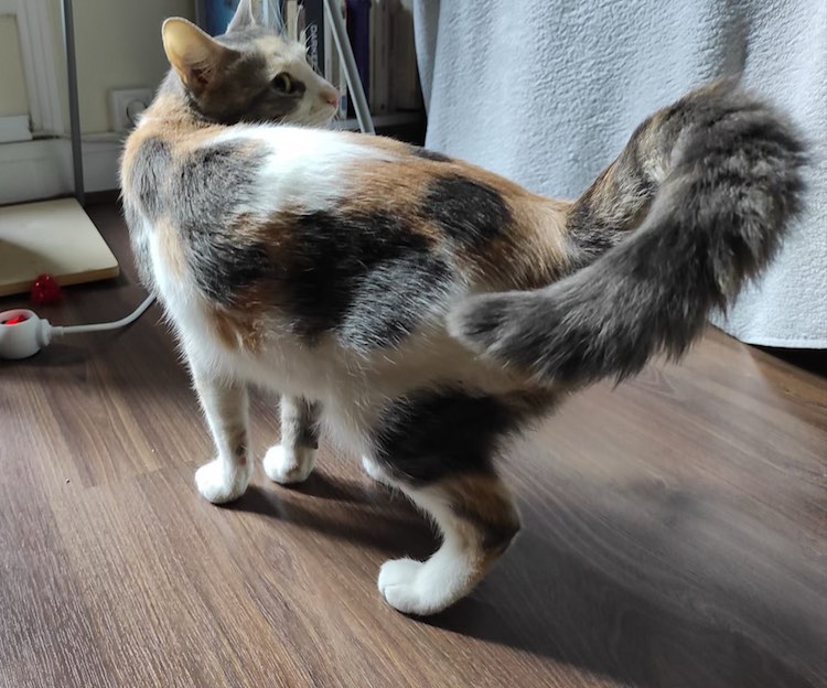 310186339_454266546767501_4607116585374632083_n