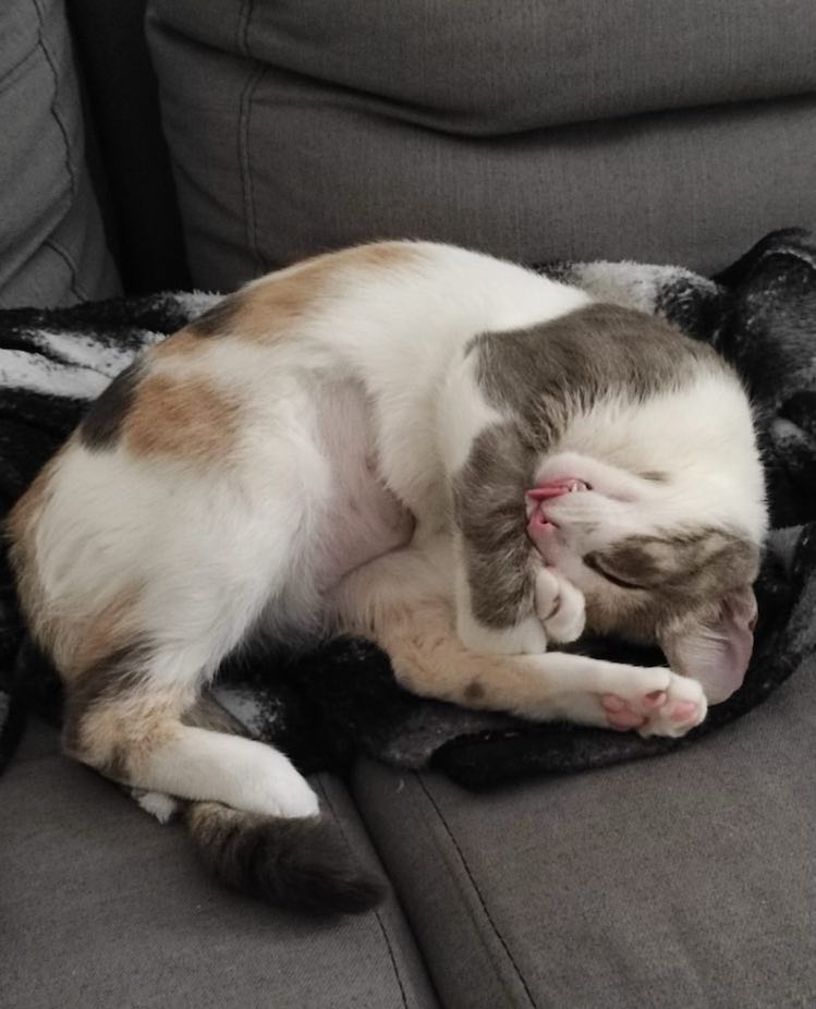 310239760_780109586644906_6605235927477363955_n