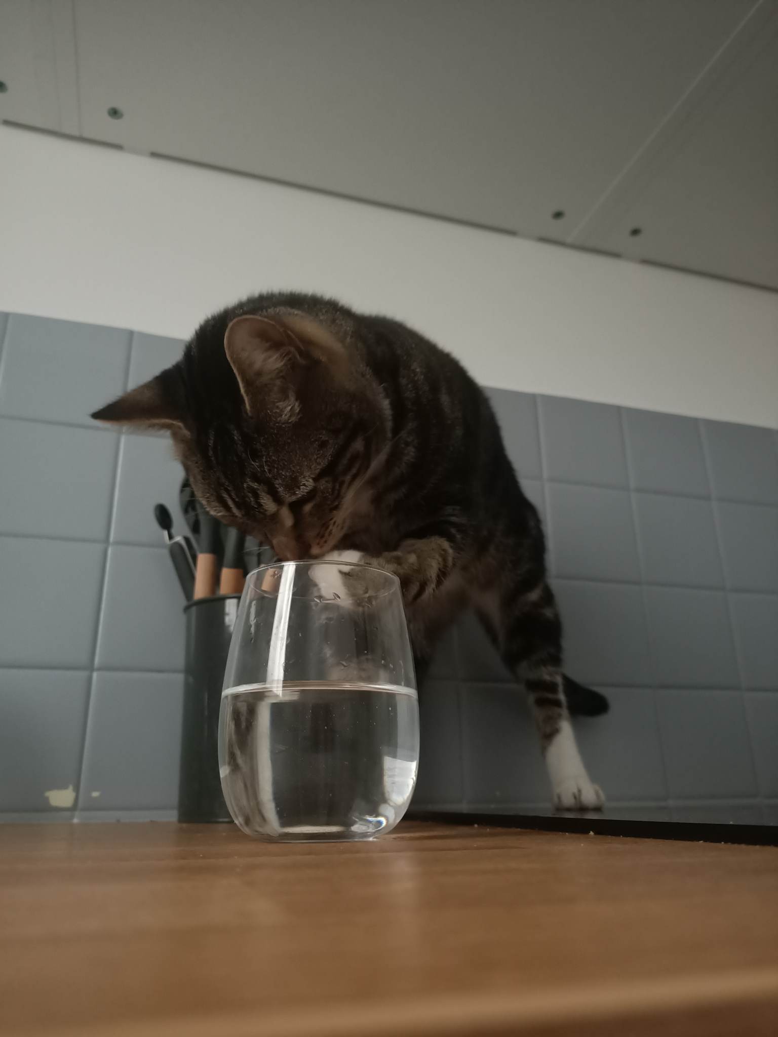 310257755_1076017609752861_1404312814665870493_n-1