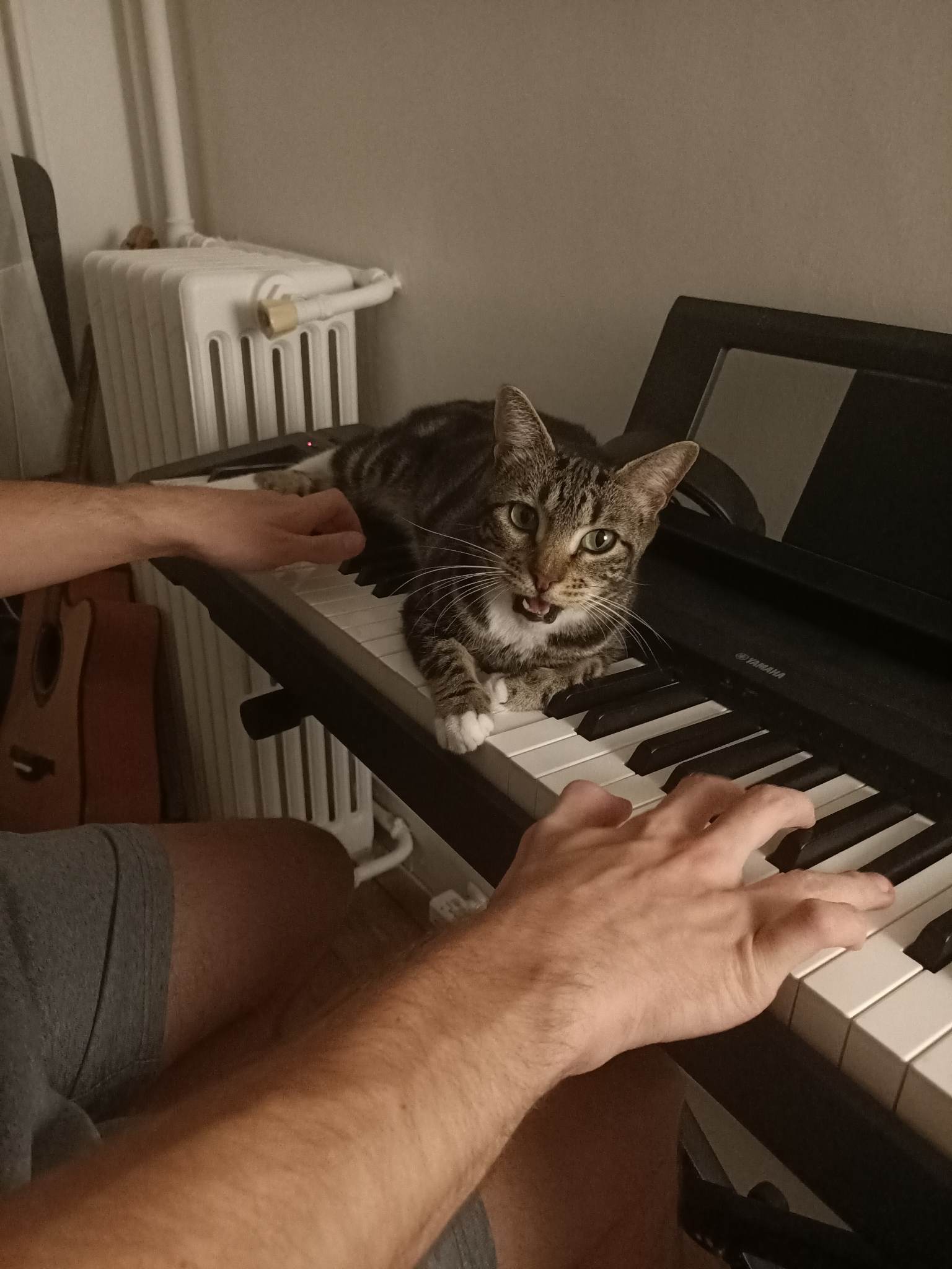 310257755_8232491716792868_2698892693157995047_n-1