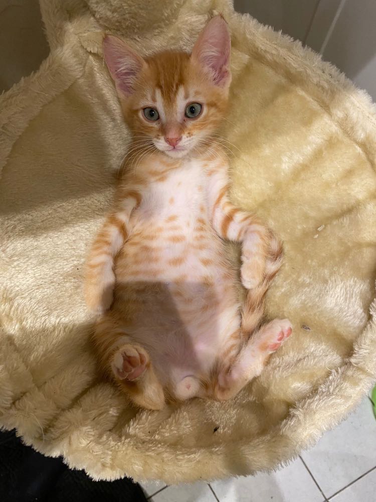 310261984_1075821639966342_7352840905045423057_n