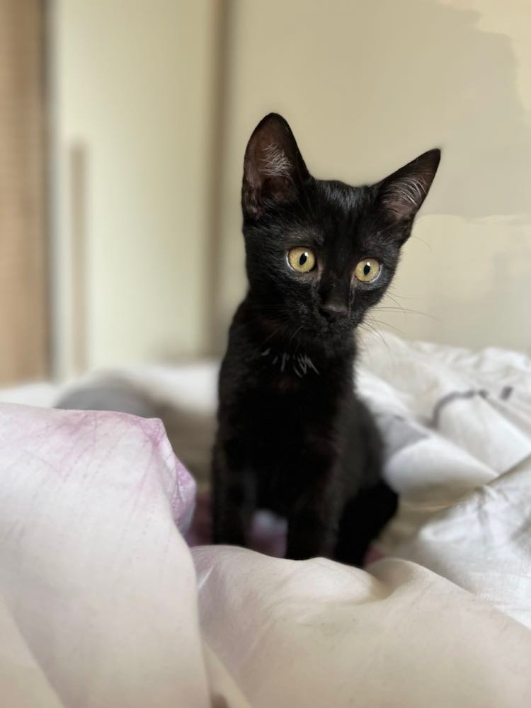 310274242_821299059305531_5984589689382724975_n