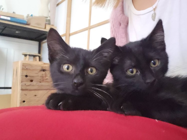 310536306_5804642486293407_5788170948502324027_n