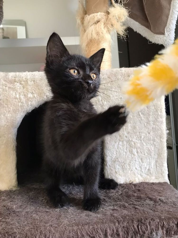 310559973_838946013951039_8015722508360709308_n