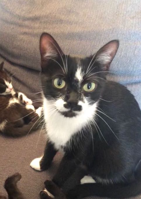 310565763_809206613600875_5644611458907765715_n