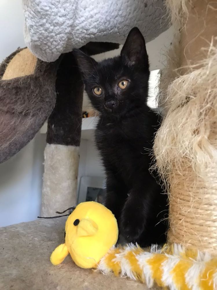 310589863_652480323102292_3049589858562050010_n