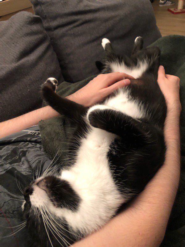 310610743_810520396751928_1719936072068432776_n