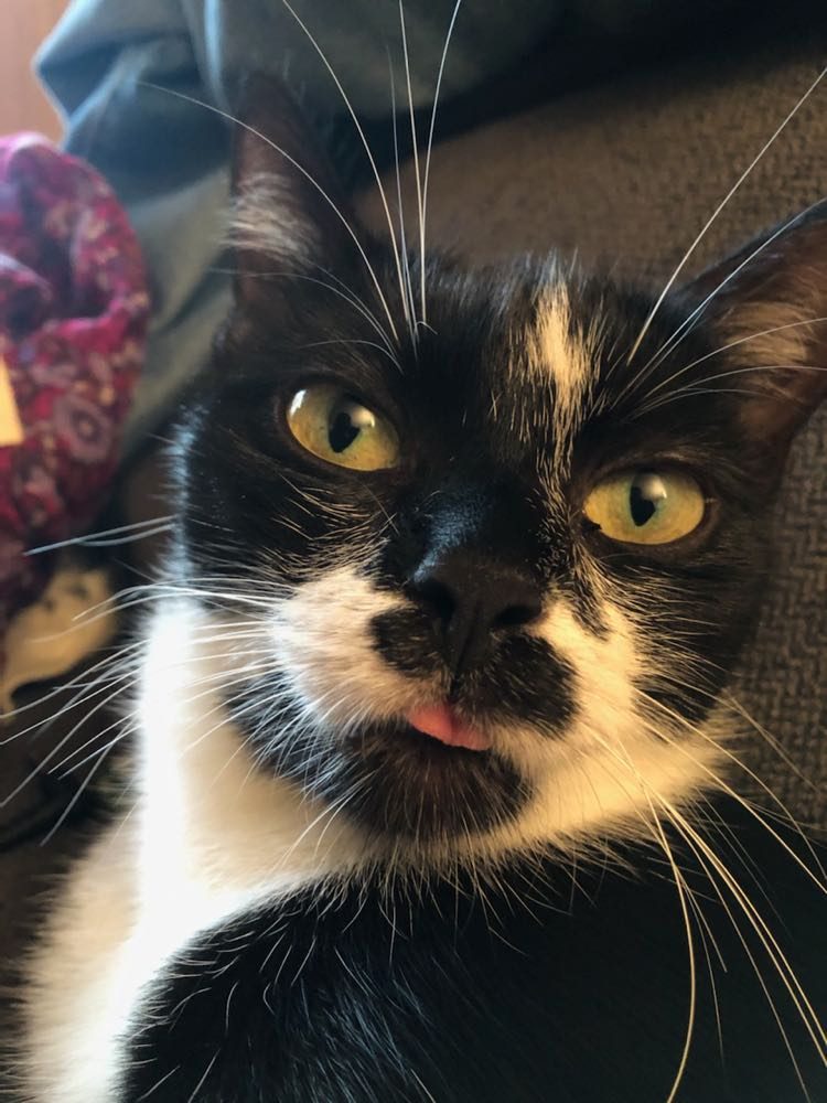 310614781_619447549666775_4581649154635904218_n