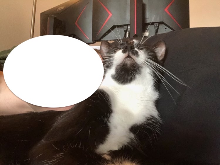 310618978_662038575172007_3816490699535836815_n