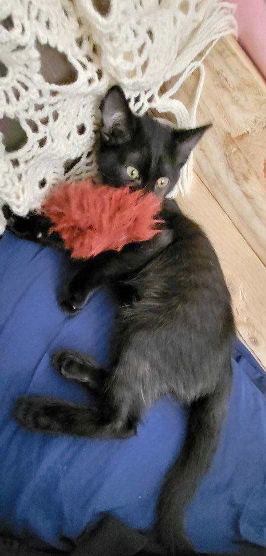 310637596_859659438526860_3311168194656199009_n-2