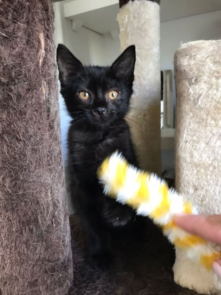 310700279_1163410187606145_8149082327512976997_n