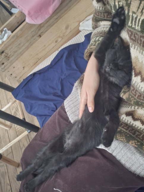 310742464_1107684026545632_179735404204361154_n-2