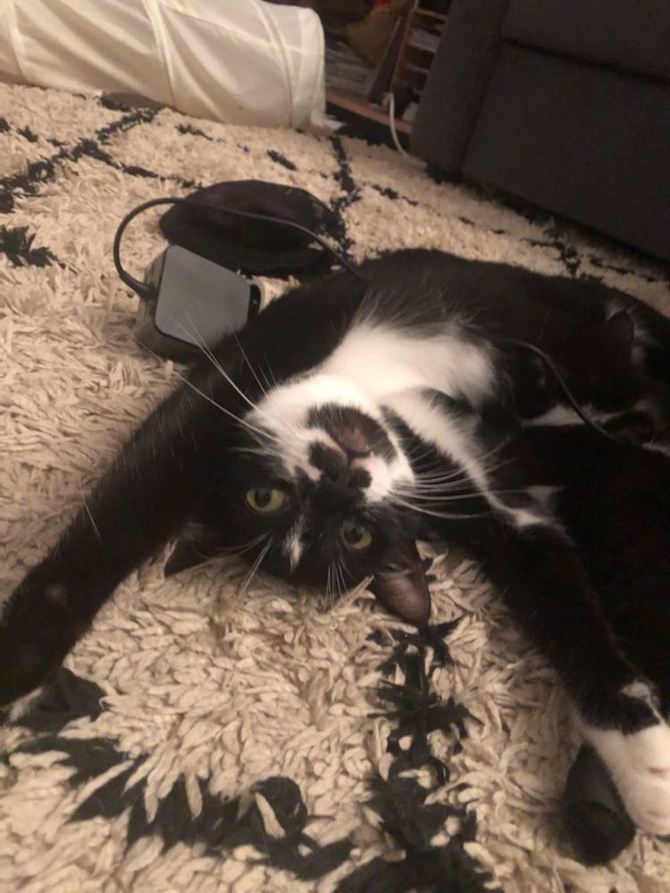 310749413_1134654464143540_3025028850804365072_n