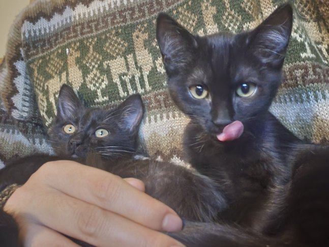 310760513_632889141576711_2175265328474055362_n-1