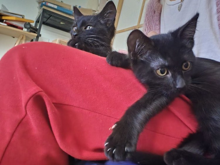 310930978_639877864410211_5350295490569688742_n