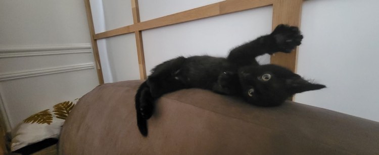 311119460_655340676304844_60925013899147468_n