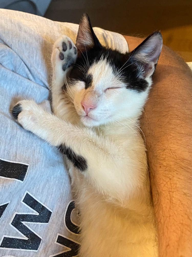 311122324_1184530285814925_4146575504541151003_n