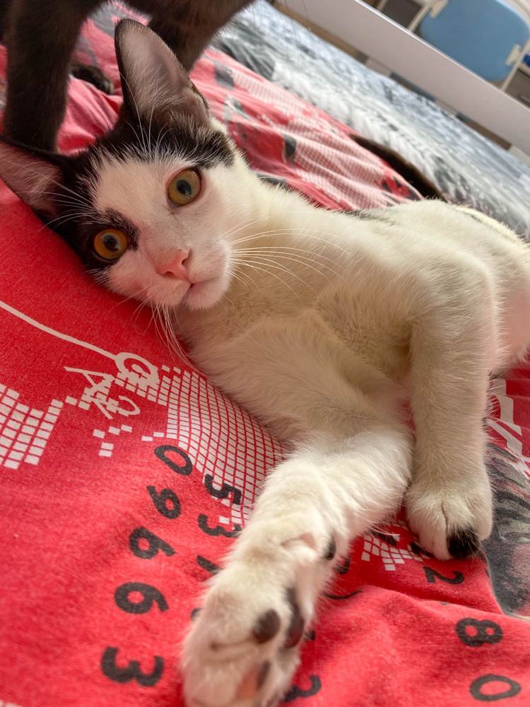 311124016_1145398179734796_2719249348794712682_n