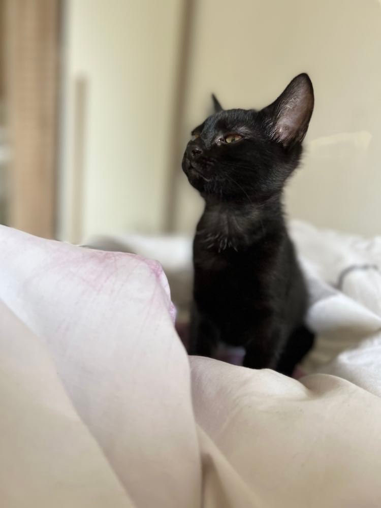 311165359_667409794608739_704751652747371377_n