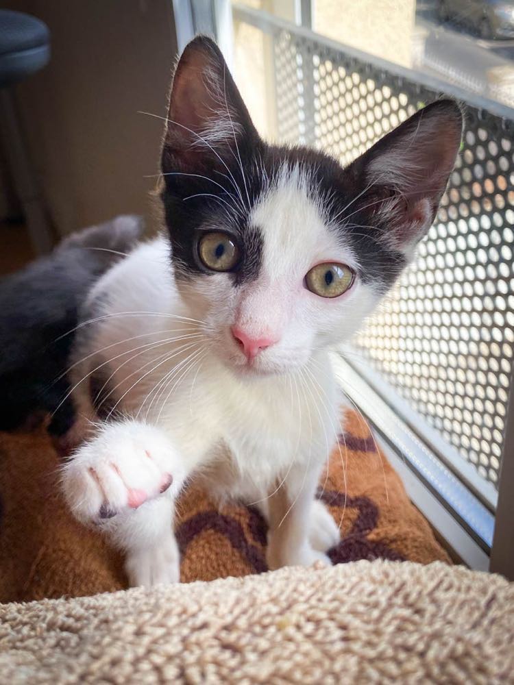 311255820_493036899381648_164070767454454368_n