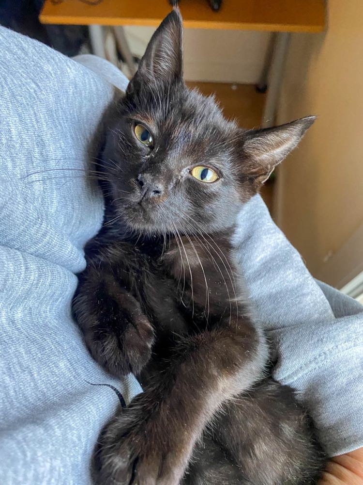 311282002_405556048445060_7106909097416414775_n