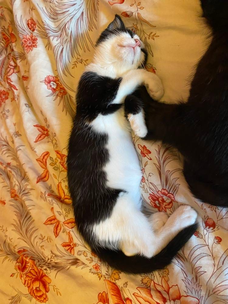 311294331_1101646494094451_6934707983157803325_n