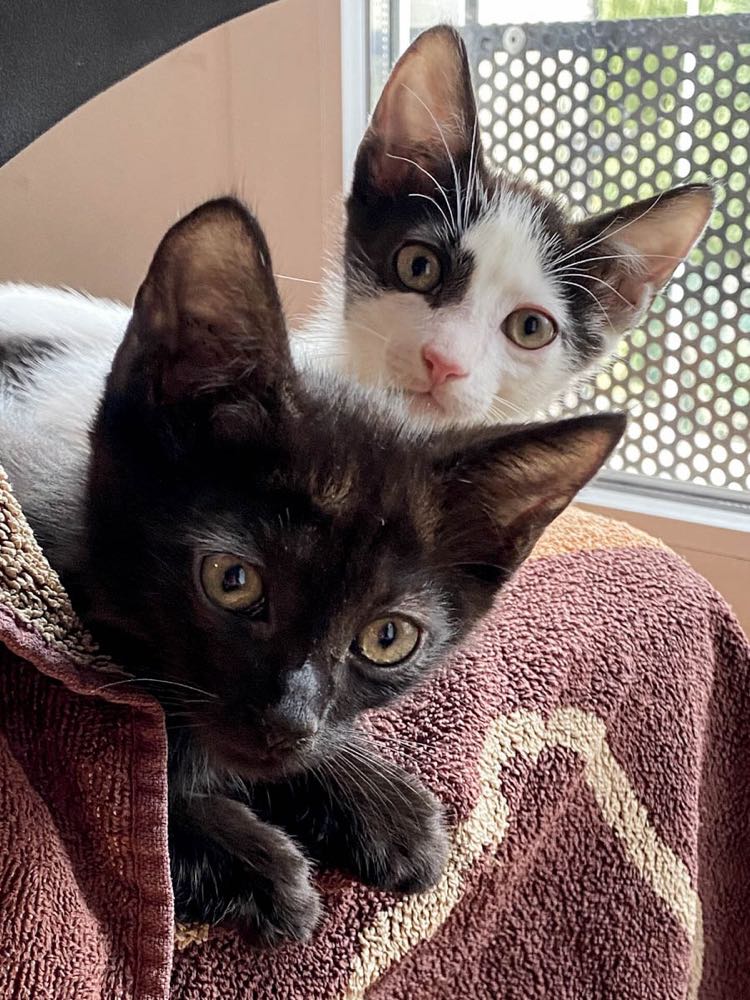 311300527_806902560431691_8522918070498212695_n