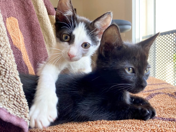 311305837_842609156914442_6687993304941415731_n